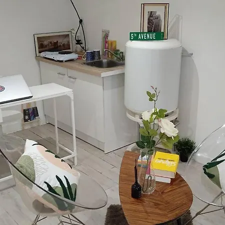 Superbe Et Vaste Logement ドランシー
